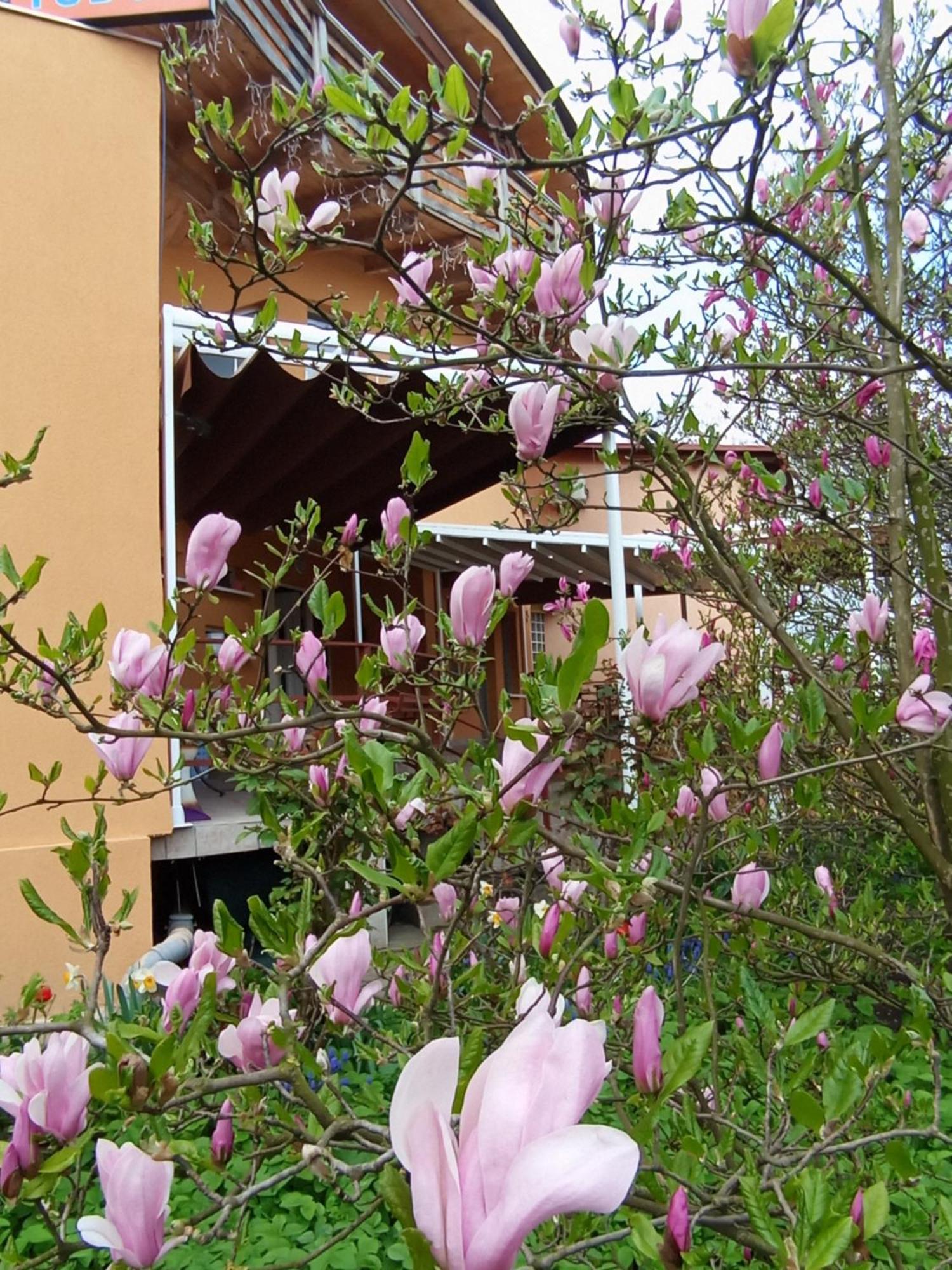 Casa Tudor ทูร์ดา ภายนอก รูปภาพ