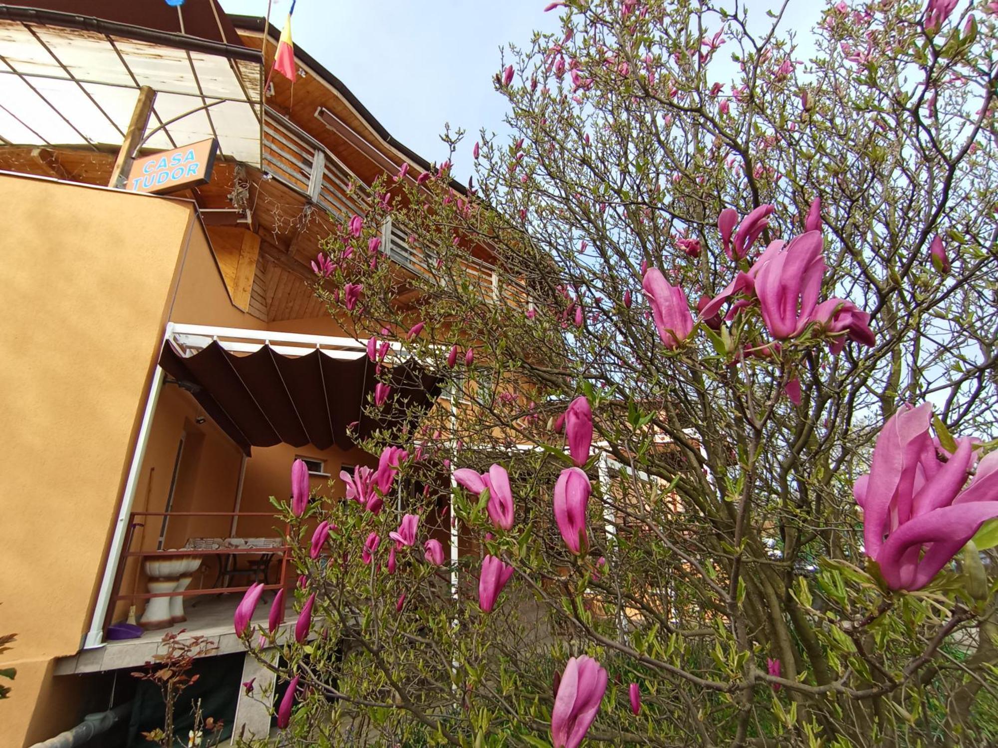 Casa Tudor ทูร์ดา ภายนอก รูปภาพ