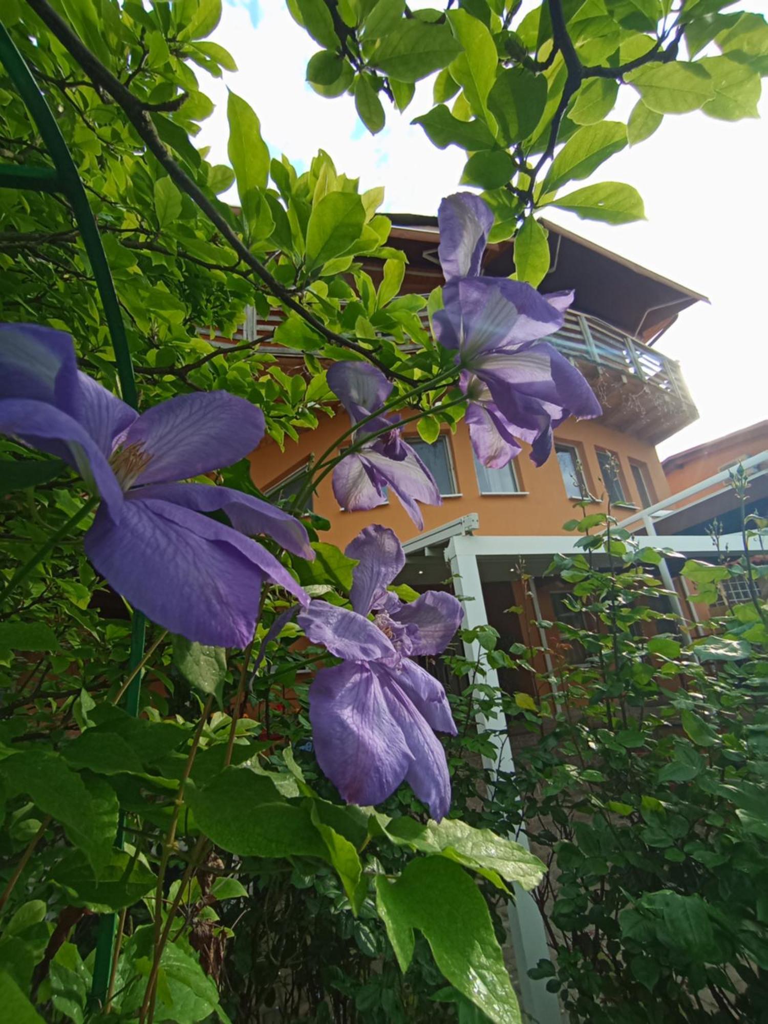 Casa Tudor ทูร์ดา ภายนอก รูปภาพ
