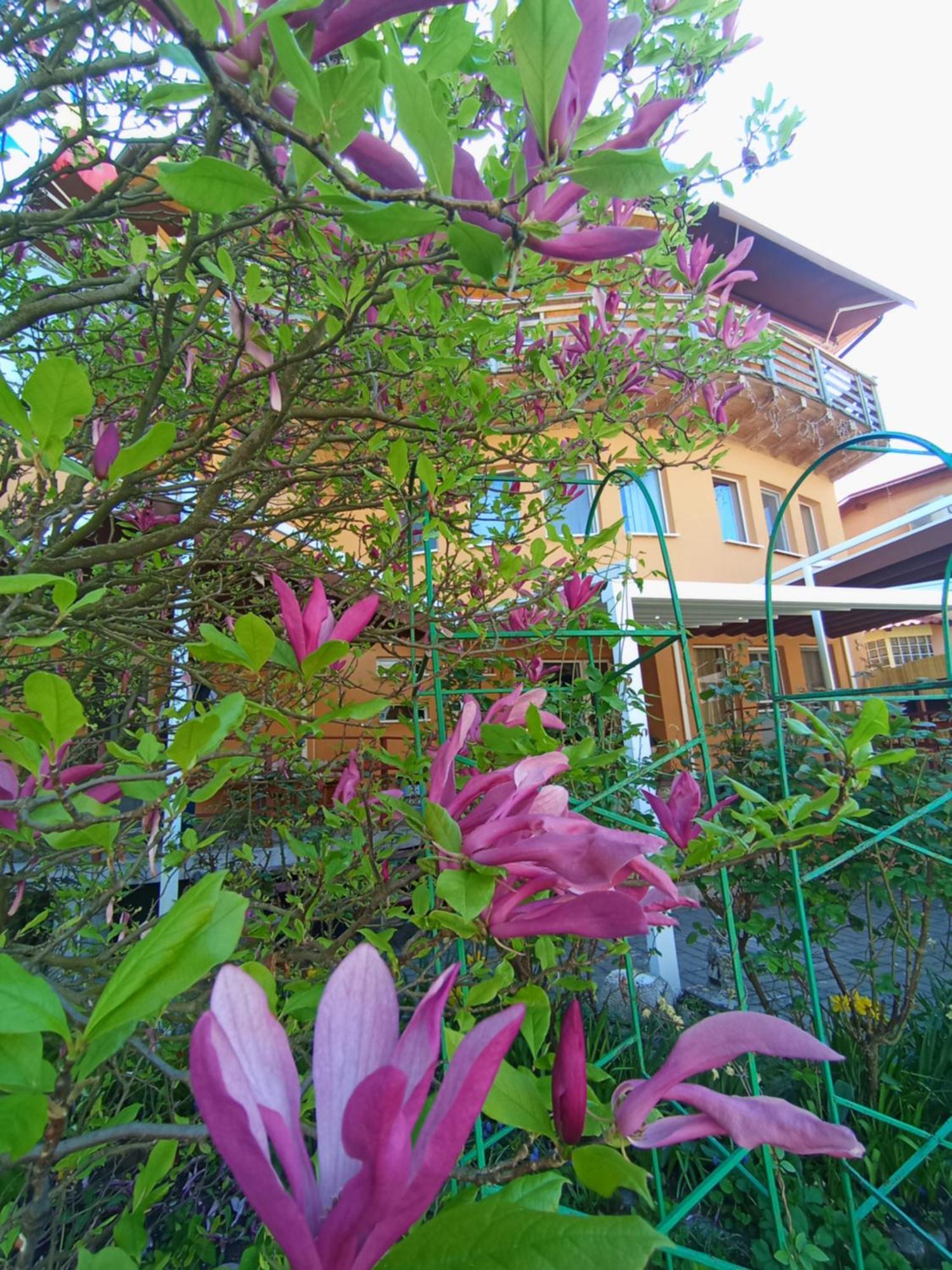Casa Tudor ทูร์ดา ภายนอก รูปภาพ